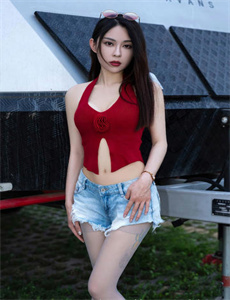 《飞贼白菊花》